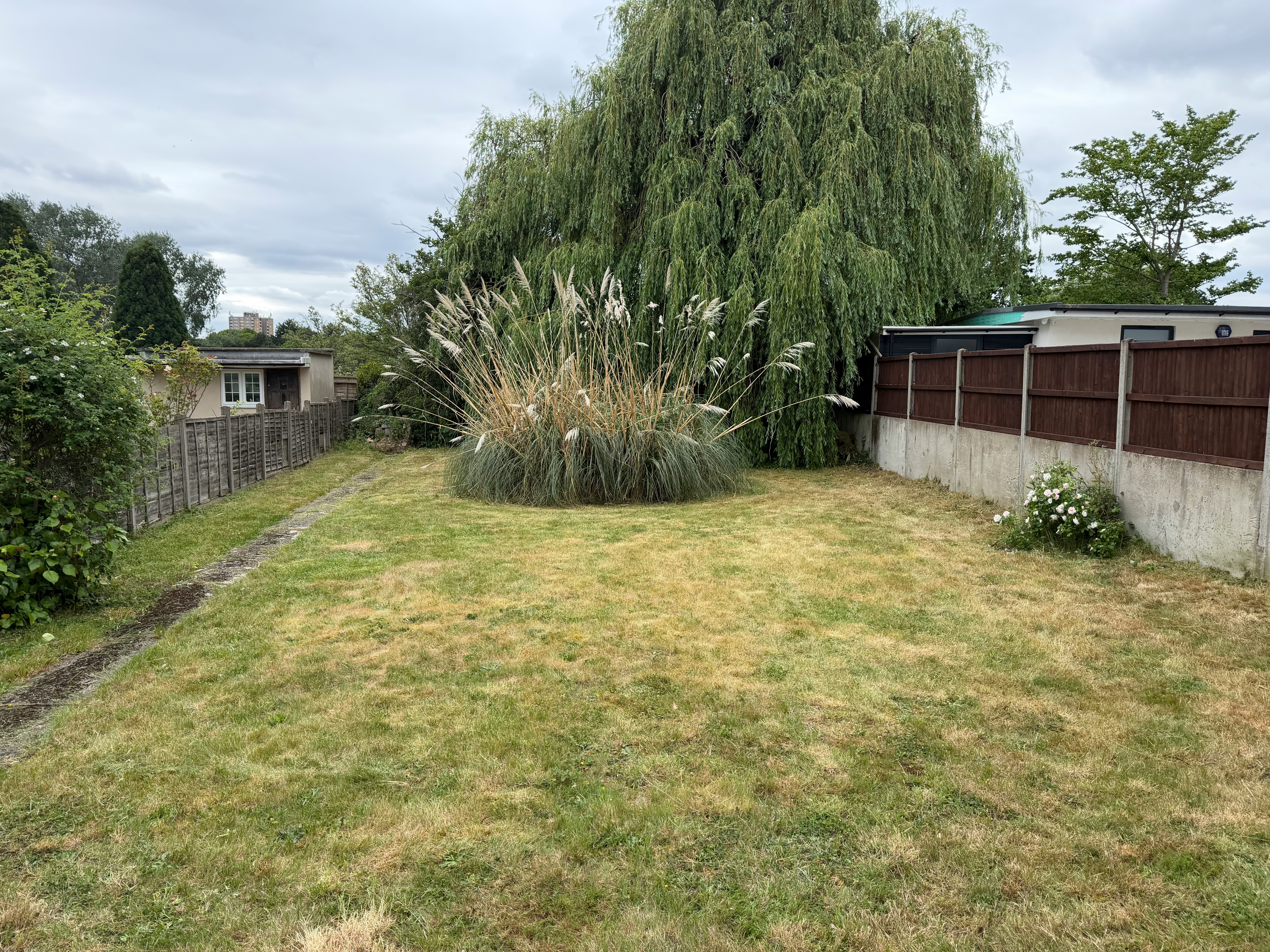 Backyard Transformation